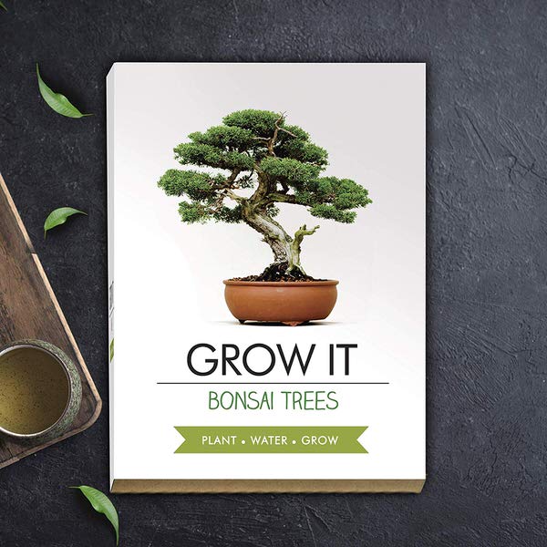 Grow it – Bonsai
